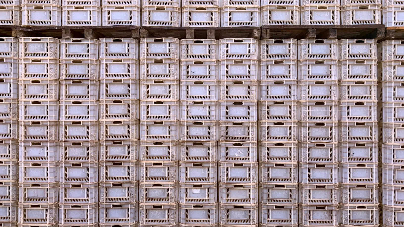 Wall of identical plastic crates stacked on wooden pallets